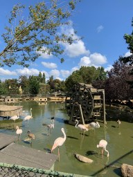 polonezkoy zoo